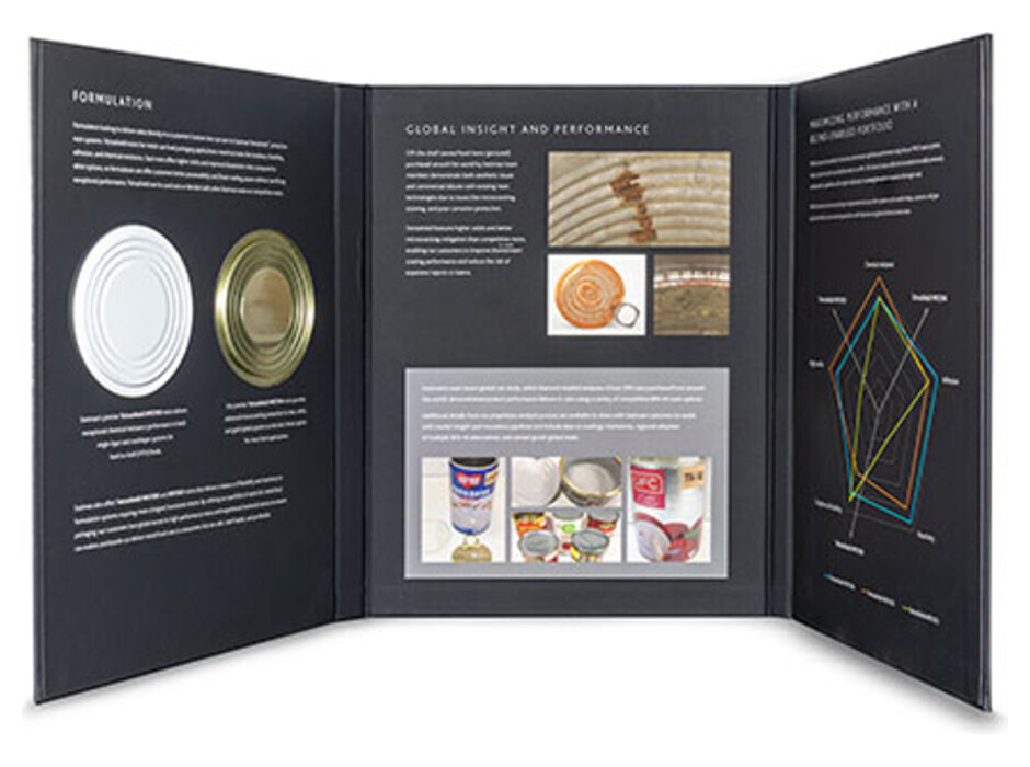 Custom 3-panel presentation folder with printed artwork