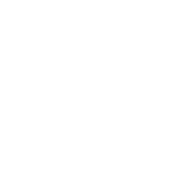 shield icon